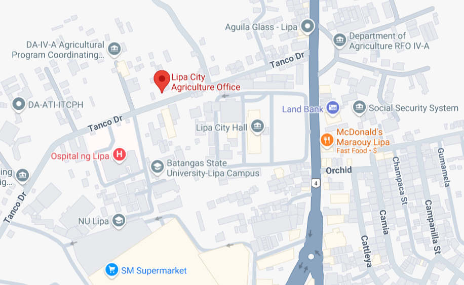 Lipa City Agriculture Office Location